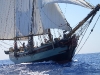 Garibaldi Tall Ships Regatta