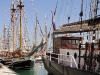 Garibaldi Tall Ships Regatta