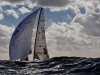 melges-20-gold-cup-2012-25