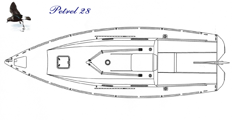 Petrel 28