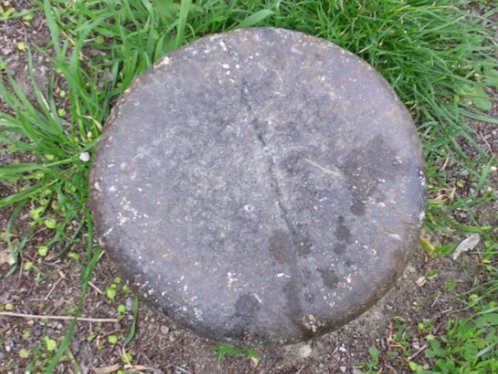 Funghi di ferro