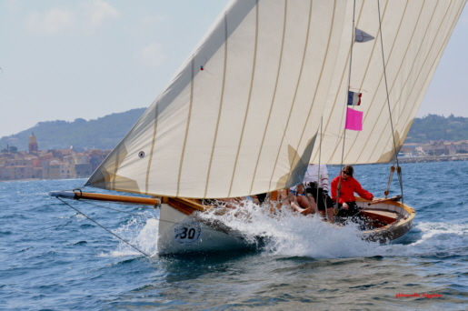vela latina - bozzello