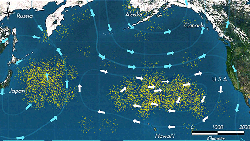 Pacific Trash Vortex - Great Pacific Garbage Patch